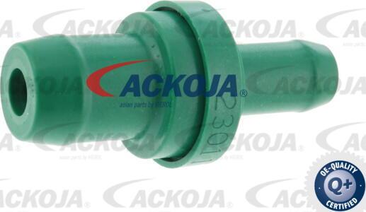 ACKOJA A54-0800 - Клапан, відведення повітря з картера avtolavka.club