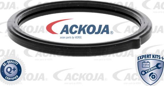 ACKOJA A53-99-0002 - Термостат, охолоджуюча рідина avtolavka.club