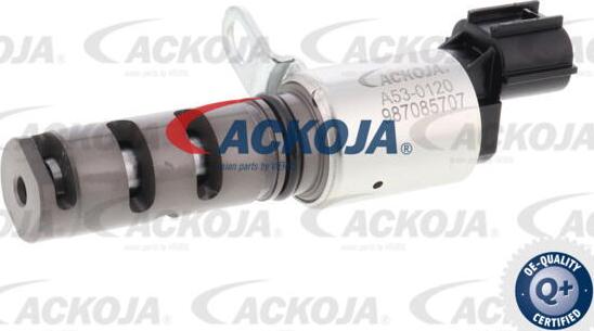 ACKOJA A53-0120 - Регулюючий клапан, виставлення розподільного вала avtolavka.club