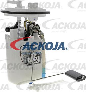 ACKOJA A52-09-0015 - Модуль паливного насоса avtolavka.club