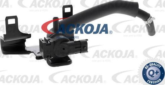 ACKOJA A52-0811 - Клапан, відведення повітря з картера avtolavka.club