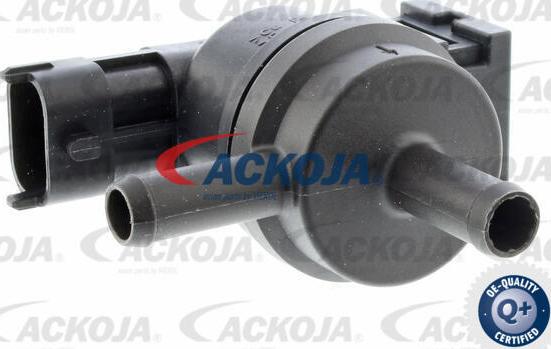ACKOJA A52-77-0019 - Клапан, фільтр активованого вугілля avtolavka.club