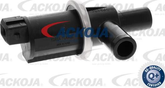 ACKOJA A52-77-0016 - Клапан, фільтр активованого вугілля avtolavka.club