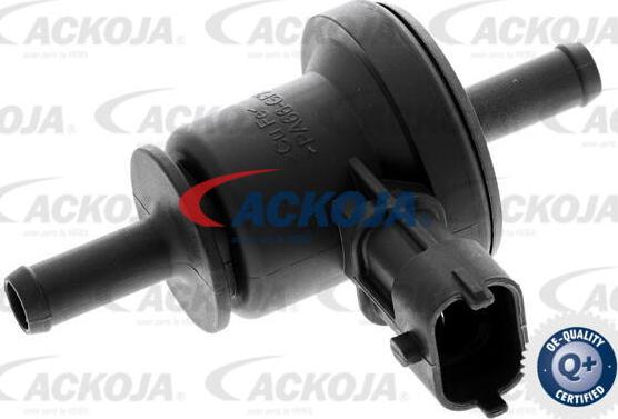 ACKOJA A52-77-0018 - Клапан, фільтр активованого вугілля avtolavka.club