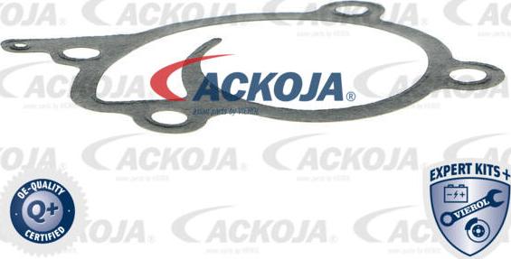 ACKOJA A38-50009 - Водяний насос avtolavka.club