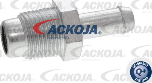 ACKOJA A70-0806 - Клапан, відведення повітря з картера avtolavka.club