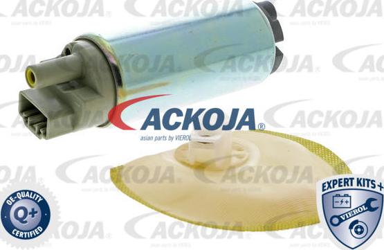 ACKOJAP A52-09-0007 - Модуль паливного насоса avtolavka.club