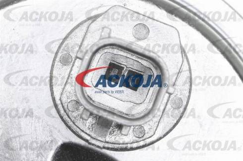 ACKOJAP A52-0204 - Комплект ременя ГРМ avtolavka.club