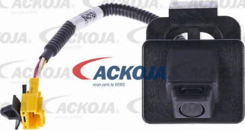 ACKOJAP A38-60-0004 - Масляний радіатор, рухове масло avtolavka.club