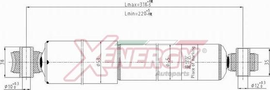 AP XENERGY X100444 - Амортизатор avtolavka.club