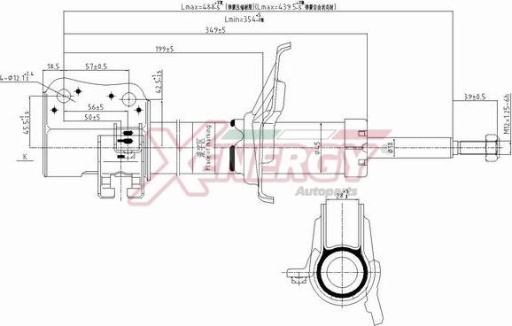 AP XENERGY X805332 - Амортизатор avtolavka.club