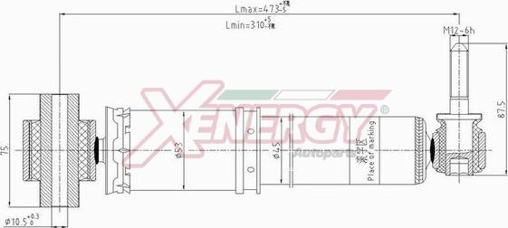 AP XENERGY X704344 - Амортизатор avtolavka.club