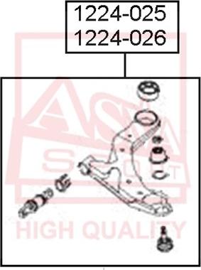 ASVA 1224-025 - Важіль незалежної підвіски колеса avtolavka.club