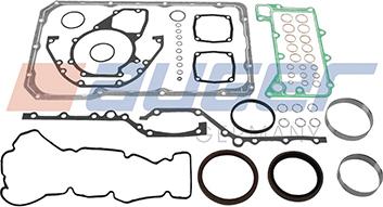 Auger 101559 - Комплект прокладок, двигун avtolavka.club