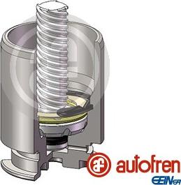 AUTOFREN SEINSA D025422LK - Поршень, корпус скоби гальма avtolavka.club