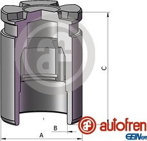 AUTOFREN SEINSA D025542 - Поршень, корпус скоби гальма avtolavka.club