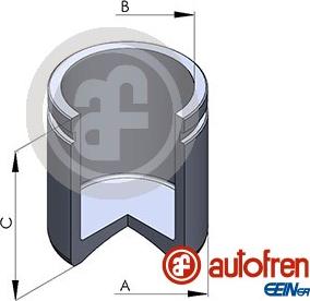 AUTOFREN SEINSA D025803 - Поршень, корпус скоби гальма avtolavka.club