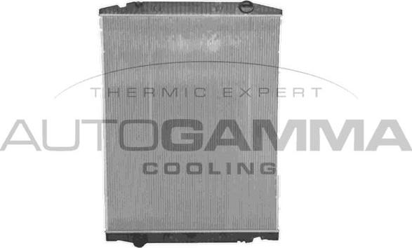 Autogamma 404654 - Радіатор, охолодження двигуна avtolavka.club