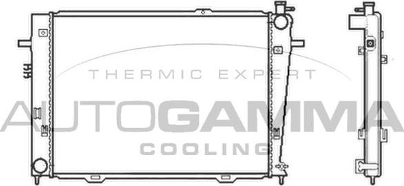 Autogamma 104010 - Радіатор, охолодження двигуна avtolavka.club