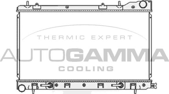 Autogamma 104706 - Радіатор, охолодження двигуна avtolavka.club