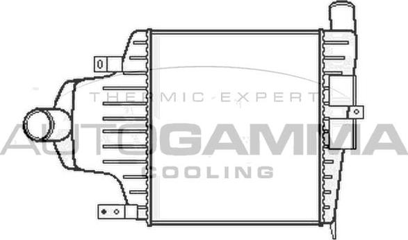 Autogamma 105502 - Интеркулер avtolavka.club