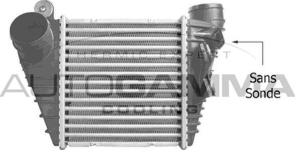 Autogamma 101498 - Интеркулер avtolavka.club