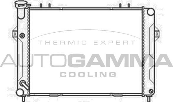 Autogamma 103665 - Радіатор, охолодження двигуна avtolavka.club