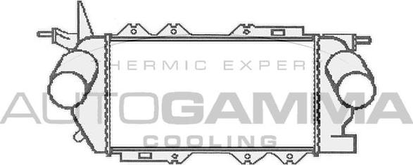 Autogamma 103856 - Интеркулер avtolavka.club