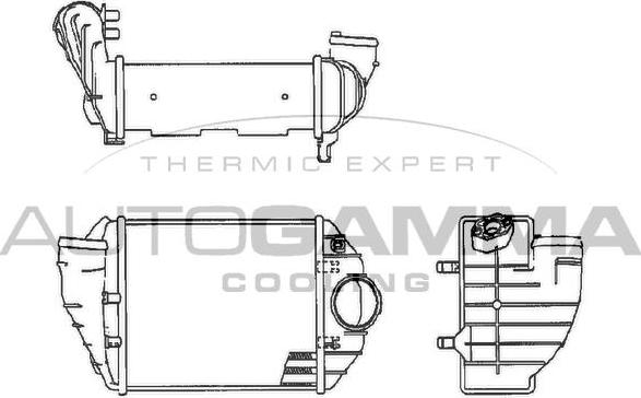 Autogamma 102535 - Интеркулер avtolavka.club