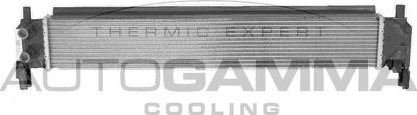 Autogamma 107718 - Радіатор, охолодження двигуна avtolavka.club