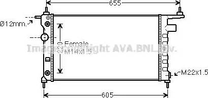 Ava Quality Cooling OL2184 - Радіатор, охолодження двигуна avtolavka.club