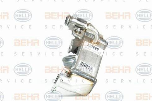 BEHR HELLA Service 8ME 376 745-351 - Радіатор, рециркуляція ОГ avtolavka.club