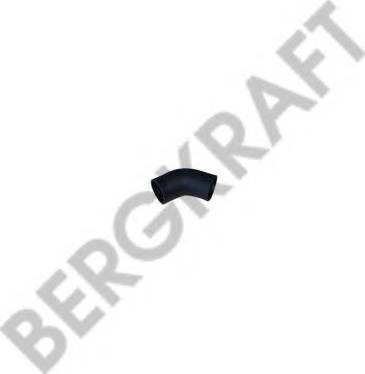 BergKraft BK2954221SP - Шланг радіатора avtolavka.club