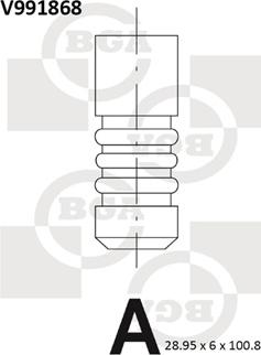 BGA V991868 - Випускний клапан avtolavka.club