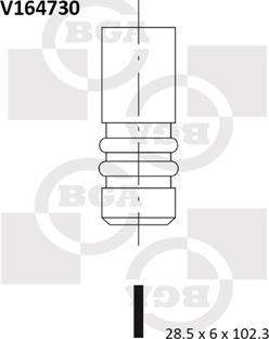 BGA V164730 - Впускний клапан avtolavka.club