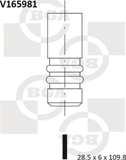 BGA V165981 - Випускний клапан avtolavka.club