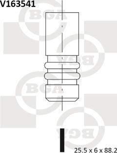 BGA V163541 - Випускний клапан avtolavka.club