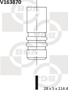 BGA V163870 - Впускний клапан avtolavka.club