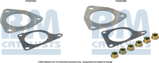 BM Catalysts FK50750 - Монтажний комплект, труба вихлопного газу avtolavka.club