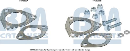 BM Catalysts FK70300 - Монтажний комплект, труба вихлопного газу avtolavka.club