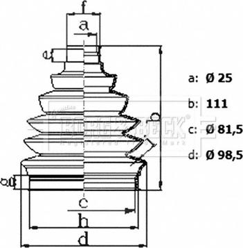 Borg & Beck BCB6436 - Пильник, приводний вал avtolavka.club