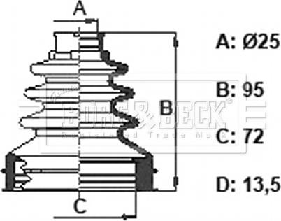 Borg & Beck BCB6392 - Пильник, приводний вал avtolavka.club