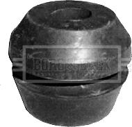 Borg & Beck BEM3099 - Подушка, підвіска двигуна avtolavka.club