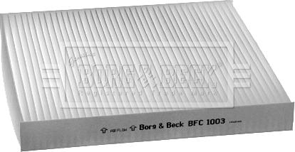 Borg & Beck BFC1003 - Фільтр, повітря у внутрішній простір avtolavka.club