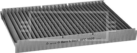 Borg & Beck BFC1025 - Фільтр, повітря у внутрішній простір avtolavka.club