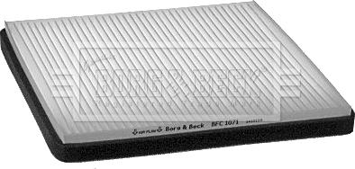 Borg & Beck BFC1071 - Фільтр, повітря у внутрішній простір avtolavka.club