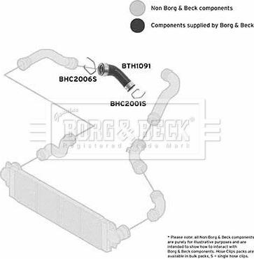 Borg & Beck BTH1091 - Трубка нагнітається повітря avtolavka.club