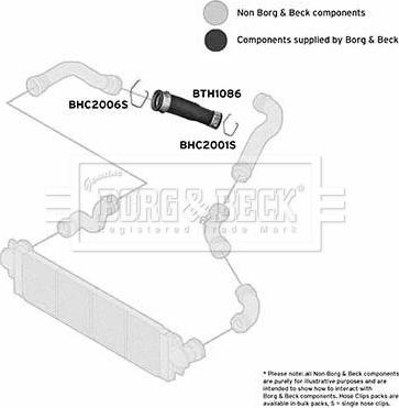 Borg & Beck BTH1086 - Трубка нагнітається повітря avtolavka.club