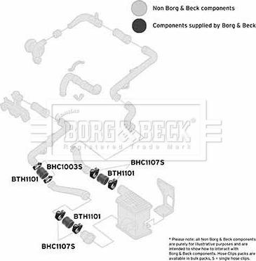 Borg & Beck BTH1101 - Трубка нагнітається повітря avtolavka.club