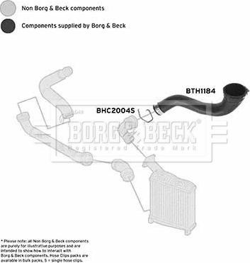 Borg & Beck BTH1184 - Трубка нагнітається повітря avtolavka.club